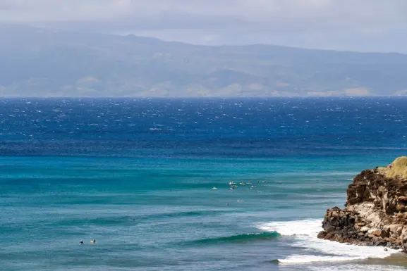 Kassu Casino Assistance